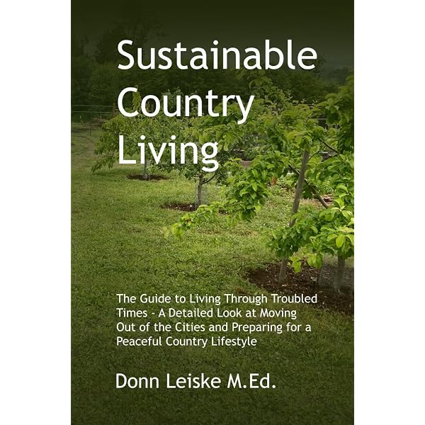 Amazon.com: Family Realities: A Global View: 9780135781050